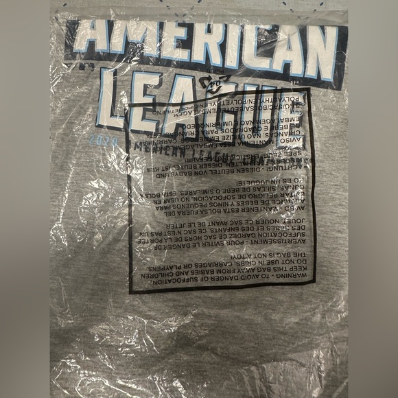 SOLD

Fanatics Gray Youth Large Tampa Bay Rays Shirt NWT - Picture 2 of 2